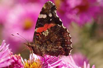 短信压力测试在线网页版