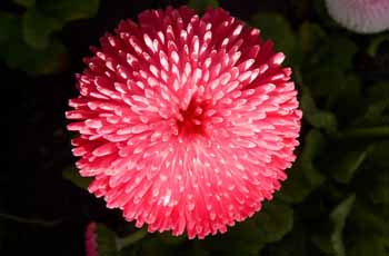 一键性能分析的免费短信呼死你2023