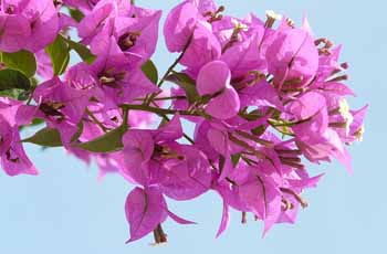 获取手机号验证码平台